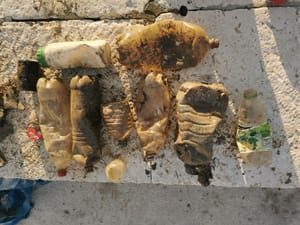 ZNASTVENICI INSTITUTA RUĐER BOŠKOVIĆ: "Godišnje više od 11 milijuna tona plastike dospijeva u vodene ekosustave - plastika nas itekako košta!"