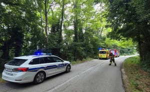 STRAŠNA TRAGEDIJA U ISTRI Stablo palo na dijete i usmrtilo ga!