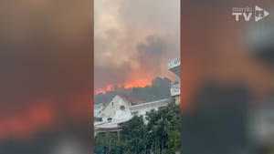 VELIKI POŽAR KOD KRILA JASENICE Gasi ga 150 vatrogasaca - Zatvorena Jadranska magistrala!