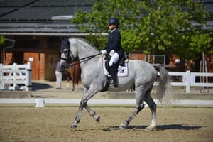 Balkansko prvenstvo u daljinskom jahanju Barban 2025.