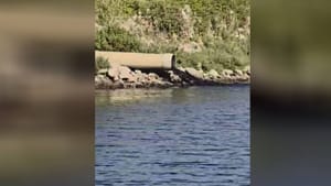 VIDEO - ZAGAĐENJE U BAKRU Pogledajte što izlazi iz ovih cijevi u Bakarski zaljev