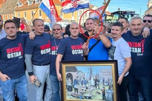 Ministar ribarstva koji je najavio  totalni rat afričkoj svinjskoj kugi prije dvije je godine prosvjedovao protiv - ubijanja svinja!