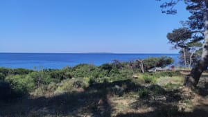 PREKRETNICA U PRAVOSUĐU Pala prva pravomoćna presuda za pustošenje šume!