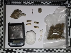 Vlasnik i zaposlenik dubrovačkog ugostiteljskog objekta dilali drogu - Evo što im je pronađeno!