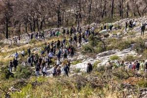 350 volontera pošumljavalo požarište na Šubićevcu u Šibeniku