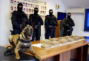 Gradonačelnik Dubrovnika rekao da se u gradu troše kamioni droge, evo što mu je odgovorila policija