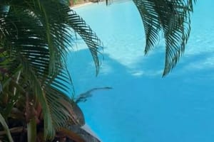 NEŽELJENI GOST U bazen luksuznog hotela zalutao - krokodil!