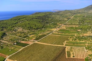 Kušanje mladih vina i okrugli stol na Visu