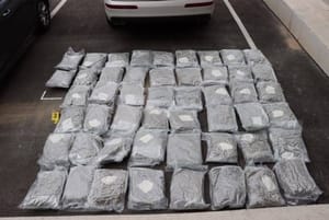 PN USKOK Služba Split zaplijenila više od 80 kilograma marihuane i novac od prodaje