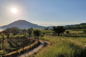 Teško ozlijeđen Švicarac u blizini Motovuna