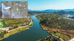 Masovni pomor ribe u gornjem toku Neretve: "Bahat odnos investitora u BiH prema rijeci"