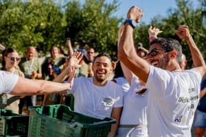 Francuska pobijedila na Svjetskom prvenstvu u branju maslina na Braču - Hrvati predvođeni Dinom Rađom, treći!