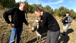 GPS im visi oko vrata - Visokom tehnologijom opremljeni i magarci