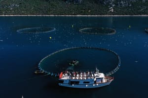 Zadarska županija ruši rekorde: U listopadu preko 68 tisuća zaposlenih, rast od 40 posto u deset godina