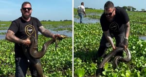 WWF - Adria raskinuo suradnju s influencerom: "Uznemiravao je anakodnu i mravojeda" Influencer: "To nije nikakavo mučenje!"