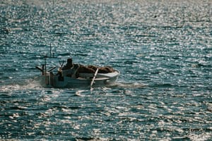 Danas je Međunarodni dan Mediterana, a mi imamo sreću da živimo na ovom dijelu svijeta