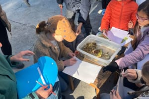 MORSKI LABORATORIJ Morski dan s MorLabom u Rogoznici