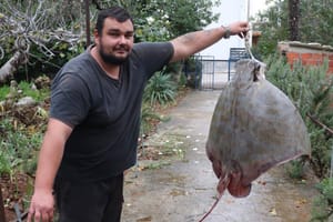 NAKON BROJNIH KRITIKA GRAĐANA Glasnogovornik Ministarstva ribarstva potvrdio za Morski: "Ribar s Vira nije smio zadržati goluba ćukana, to je ugrožena vrsta!"