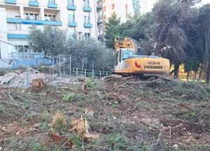 Možemo! Pula poručuje Gradu: "Nije u redu rušiti stabla da bi se uredio park!"