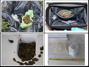 NAGOVORIO JE SUPRUG Kod Cavtata u kanalizacijski sustav istresla kokain i marihuanu