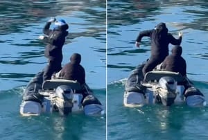 U Zadru se dogodio ozbiljan sigurnosni propust policije - Gradski vijećnik: "Ovo ima sve elemente terorističkog čina!"