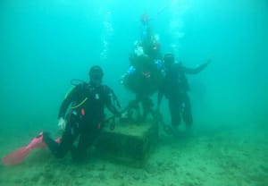 Splićani polažu 30. jubilarni put božićni bor pod more u humanitarne svrhe