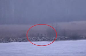 ZALUTALI RUSI Estonija: "Tri ruska policajca kratko su ušla u našu zemlju, stigli su brodom, postoji i video