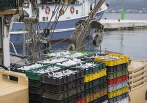 Mijenja se izračun potpore za privremeni prestanak ribolova plivaricama - srdelarama