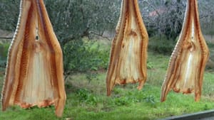 Sušeni morski pas u rangu norveškog bakalara, ako ne i bolji!