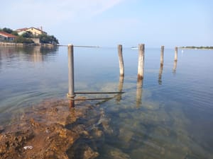 UMAG - NOVIGRAD Inicijativa Dajla: "Građani ne žele luku nego plažu i komunalne vezove, a projekt istražuje i Europska komisija"