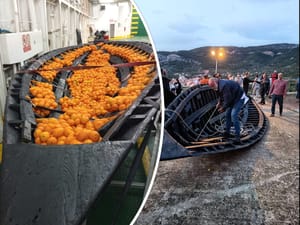 Komižani će na sv. Mikulu tradicionalno spaliti brod, ali ovaj put lađu s Neretve!