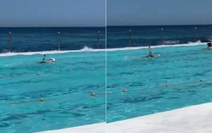 ZBOGOM PAMETI Leđni "online" stil zapalio društvene mreže