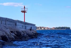 Otočanin u ulici "Otočka cesta na jednom zadarskom otoku radio što nikako nije smio!