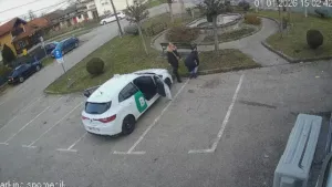 PRONAĐENE U KORČULI Dvije žene ostavile sedam štenaca u vrećici na parkingu - Živi su se smrznuli!