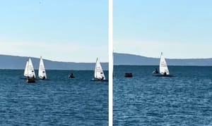 Dok je nekima hladno, mladi su splitski jedriličari "ruku pod ruku s burom" na moru!