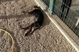 PAPRENE KAZNE Državni inspektorat potvrdio: "U radu šibenskog azila postoje nepravilnosti"