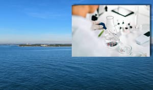 Hrvatski znanstvenici potvrdili: "Dramatično raste broj čestica mikroplastike u Jadranu!"