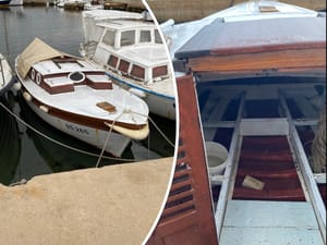 Stavio oglas da poklanja pasaru u Neviđanima, pa se odlučio "vratiti dite materi"...