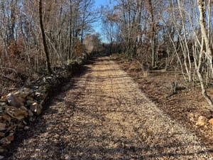 Svetvinčenat nakon deložacija uvodi red na poljoprivrednom zemljištu: "Ljudi ne mogu živjeti u kamp - prikolicama i odlagati otpad naokolo"