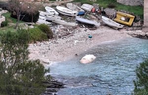 U viškoj uvali more nanijelo sisavca od 6 metara u raspadnutom stanju