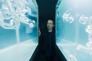 ZAGREB "Rituali s delfinima" u Hrvatskom prirodoslovnom muzeju