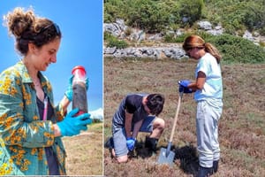 PRONAŠLI MIKROPLASTIKU IZ 1950-IH! Hrvatski i britanski znanstvenici prvi put rekonstruirali povijest taloženja u sedimentima kroz vrijeme