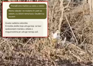 ISPRAVAK Žene koje su zabilježene nadzornom kamerom kod DVD-a Lukavec kažu da nisu odgovorne za smrt štenaca: "Evo što se dogodilo!"