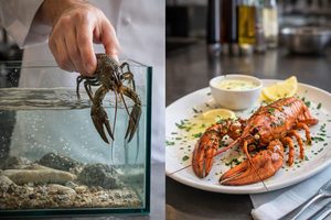 Ni Pentagon nije imun na privlačnost zvijezde fine gastronomije - Samo u jednom mjesecu potrošili 10 milijuna dolara za rakove i jastoge!