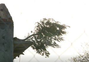 Urušio se neobičan "betonski bor s balkona" u Zadru