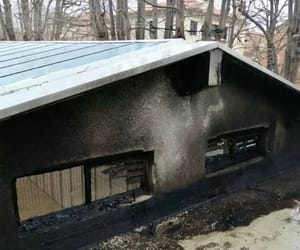 Na Venecijanskom bijenalu zapalio se paviljon Srbije: "Vjetar ne pomaže"