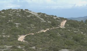 Na jubilarnom Škrapingu na Pašmanu, sudjeluje preko 1500 sudionika