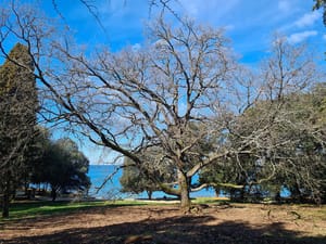Vodič za građane - 'Sigurno kroz krize' Istarske županije