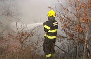 Požar u općini Barban i Istri, bura otežava gašenje