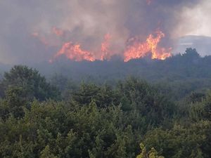 Opet požar na Hvaru u mjestu Zastražišće